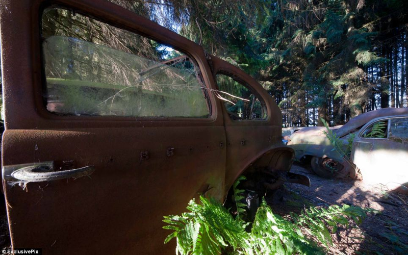 Illustration for article titled Chatillon, Belgium. The Graveyard Of The Cars Of The American Soldiers Deployed In Europe, Who Didn't Take Them Back To The U.S.A.